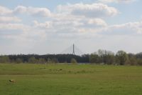 Bild 82